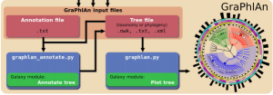 进化树可视化工具-GraPhlAn - Omics - Hunter